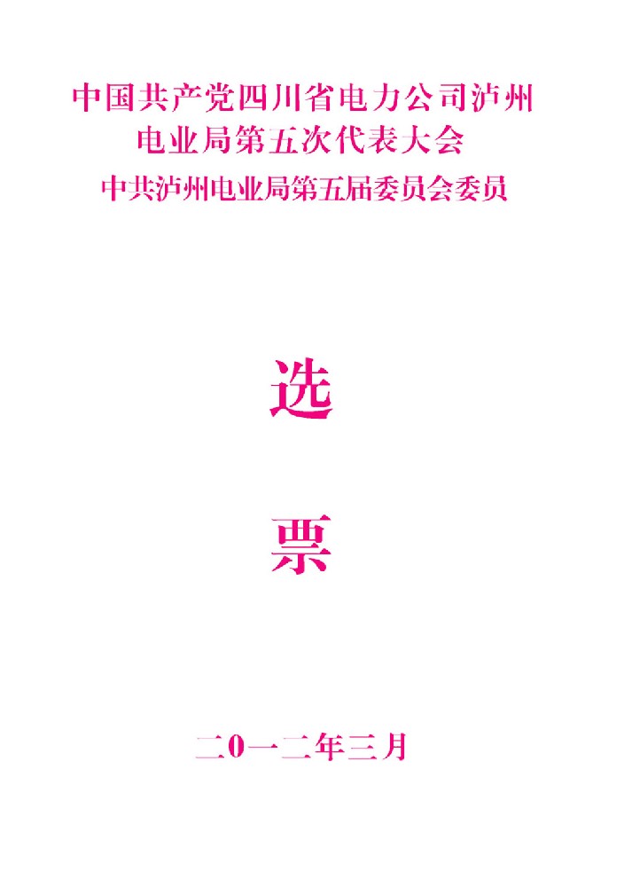 電力系統(tǒng)換屆選舉